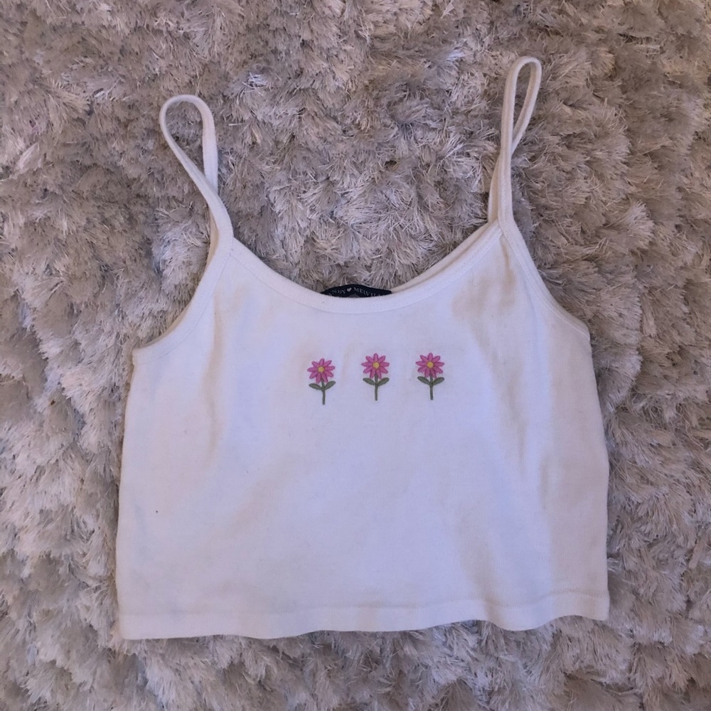Brandy Melville crop top